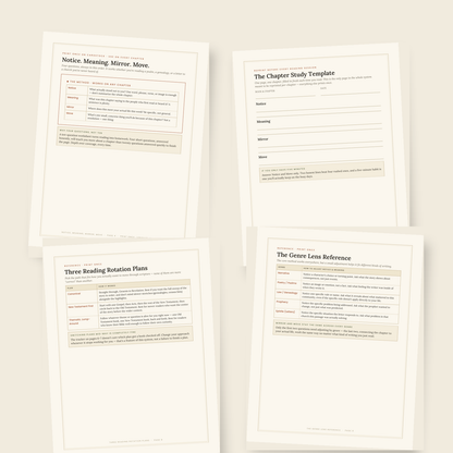 Interior preview of the Notice Meaning Mirror Move method and reusable chapter study pages